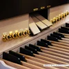 32-Tasten-Pedalwerk der Gloria Concerto Plus 4-68cc